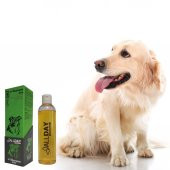 Allday All-Shampoo Cat Dog Hindistan Cevizli Köpek Şampuan 250 Ml - 2