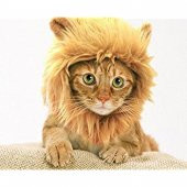 Kedi Aslan Yelesi Peruk - 1