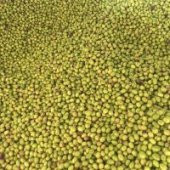 Kırma Yeşil Zeytin Doğal Ev Yapımı 3 Kg - 4