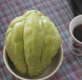 Dikenli Kabak, Rodos Kabağı (1Kg) - 1