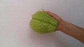 Dikenli Kabak, Rodos Kabağı (1Kg) - 2