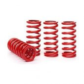 Coil-Ex Ford  Focus 2 Sed Makyajli Spor Yay Helezon thumbnail 1