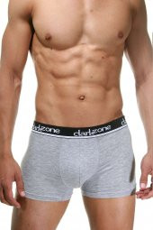Darkzone Klasik Boxer - 1