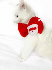 Noel Baba Kedi Papyonu thumbnail 3