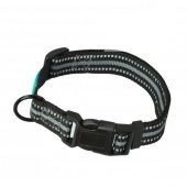 ANS Köpek Boyun Tasması 2,5cm Genişlik, Boynu 46-55cm - 2