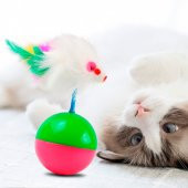 Kedi Oyun Topu İlgi Çekici Fareli Hacı Yatmaz Kedi Egzersiz - 1