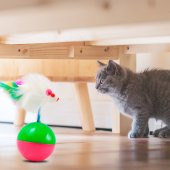 Kedi Oyun Topu İlgi Çekici Fareli Hacı Yatmaz Kedi Egzersiz - 2