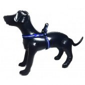ANS Lüx Ayarlanır Köpek Göğüs Tasması 2,5cm Kalınlıkta, Gövdesi 57-65cm - 2