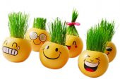 Emoji Kafa Çılgın Çim Adam - 4