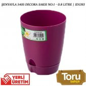 Sansevieria Trifasciata (Paşa Kılıcı, Peygamber Kılıcı) - 2