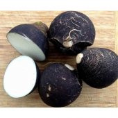 Siyah İri Turp Tohumu Kara Turp Tohumu 50 Tohum+Hediye Tohum - 1