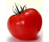 Falcon Domates Tohumu Bol Verim Domates Tohumu 25 Tohum+Hediye To thumbnail 1