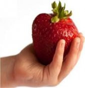 Süper Paket Dev Çilek Tohumu Yediveren Çillek 145 Tohum+Hediye To thumbnail 4