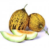 Süper paket Altınbaş Kırkağaç İnce Kabuk Kavun Tohum 250 Tohum+He thumbnail 3