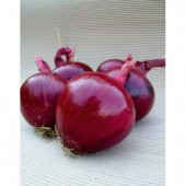 Eko Paket Mor Hafif Acı Soğan Tohumu 650 Tohum+Hediye Tohum thumbnail 1