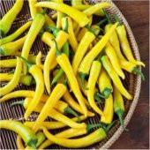 Eko Paket Golden Acı Cayenne Biber Tohumu 65 Tohum+Hediye Tohum - 2
