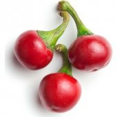 Süper Paket Cherry Tatlı Kiraz Biber Tohumu 150 Tohum+Hediye Tohu thumbnail 1