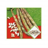 Süper Paket Çilli Ayşe Kadın Fasulye Tohumu 250 Tohum+Hediye Tohu thumbnail 3