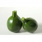 Eko Paket Dolmalık Nadir Topak Kabak Tohumu 35 Tohum+Hediye Tohum thumbnail 2