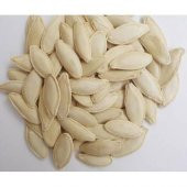 Eko Paket Tam 6 Farklı Çeşit Kabak Tohumu +Süpriz Hediye Tohum thumbnail 5