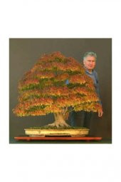 Bodur Bonsai Çınar Ağacı Tohumu 5 Tohum + Saksı + Toprak+Hediye T - 7