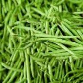 Süper Paket Eymen Oturak Erkenci Fasulye Tohumu 150 Tohum+Hediye thumbnail 3