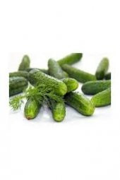 Yerli Kornişon Salatalık Tohumu 50 Adet Tohum +Spriz Hediye Tohum thumbnail 3