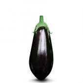 Süper Paket İri Dev Patlıcan Tohumu İthal 115 Tohum+Hediye Tohum thumbnail 1