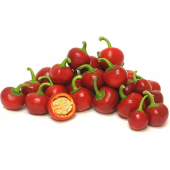Cherry Tatlı Kiraz Biber Tohumu 10 Tohumu + Saksı + Toprak+Hediye - 3