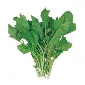 Eko Paket Yerli İri Boy Geniş Yapraklı Tere Tohumu 500 Tohum+Hedi thumbnail 1