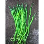 Tatlı Burkalem Bİber Tohumu 25 Tohum+Saksı+Toprak+Hediye Tohumu thumbnail 3