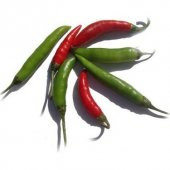 Süs Biberi Yeşil Cin Biber Tohumu 25 Tohum +Saksı+Topra+Hediye To thumbnail 2