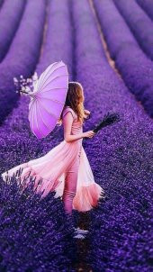 Lavanta Çiçeği Tohumu Çiçek Tohumu 30 Adet Tohum + Hediye Tohum thumbnail 2