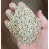 3lü Karaşım İthal Çİm Tohumu Çim Tohumu 1500 Gram Tohum +Hediye T thumbnail 4