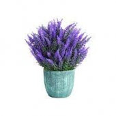 Mor Lavanta Çiçeği Tohumu Çiçek Tohumu 30 Tohum+Saksı+Toprak+Hediye T - 4