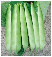 Eko Paket İstanbul Boncuk Ayşe Kadın Fasulye Tohumu 100 Tohum+Hed thumbnail 2