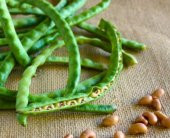 Acebek tohumu Börülce tohumu Fasulye tohumu 50 Tohum +HediyeTohum thumbnail 2