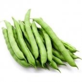 Ayşe Kadın Fasulye Tohumu Kılçıksız Ayşe Kadın 15 Tohum +Hediye T thumbnail 1