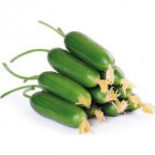 Eko Paket Erkenci Badem Salatalık Tohumu 100 Adet Tohum +Hediye T thumbnail 1