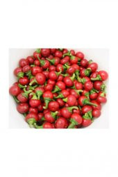 Cherry Tatlı Kiraz Biber Tohumu Biber Tohumu 15 Tohumu +Hediye To - 2
