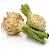 Kereviz Tohumu Kök Kerviz Tohumu 50 Tohum + Sürpriz Hediye Tohum thumbnail 1