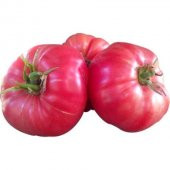 Eko Paket Nadir İri Pembe Domates Tohumu 65 Tohum +Hediye Tohum thumbnail 1