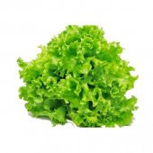 Eko Paket Kıvırcık Samsa Marul Tohumu 650 Tohum + Hediye Tohum thumbnail 1