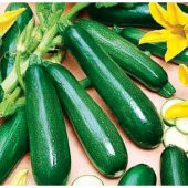 Eko Paket Kara Kolsuz Kabak Tohumu 65 Tohum + Spriz Hediye Tohum thumbnail 1