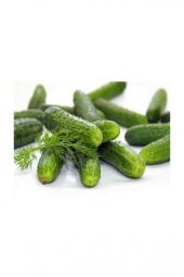 Süper Paket Yerli Kornişon Salatalık Tohumu 250 Adet Tohum+Hediye thumbnail 3