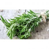 Kekik Tohumu Aromatik Dağ Kekiği tohumu 20 Adet Tohum +Hediye Toh thumbnail 2