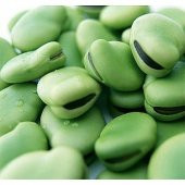 Eko Paket Yerli Sakız Bakla Tohumu 65 Dev Tohum + Hediye Tohum thumbnail 2