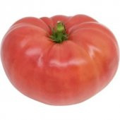 Ankara Ayaş Domates Tohumu Ayaş Domatesi 15 tohum+ Hediye Tohum thumbnail 1