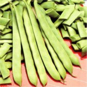 Magnum Fasülye Tohumu Fasülye Tohumu 20 Tohum + Hediye Tohum thumbnail 3