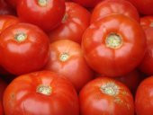 Ankara Ayaş Domates Tohumu Ayaş Domatesi 15 tohum+ Hediye Tohum thumbnail 3